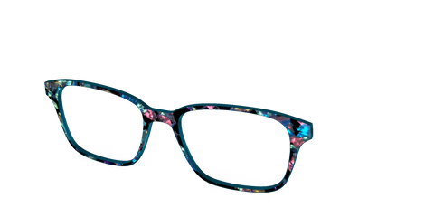 The Black Prismatic Pearl Tortoise