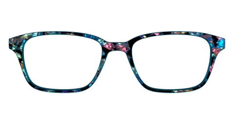 The Black Prismatic Pearl Tortoise