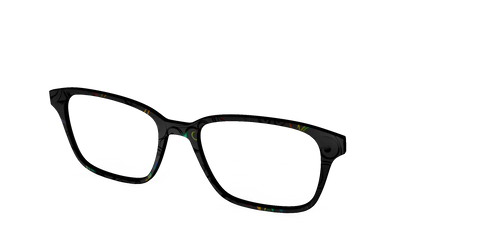 The Black Holographic Scrolls