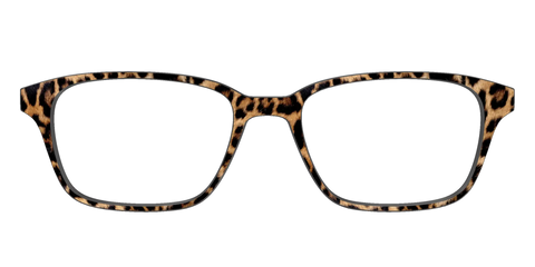 The Cheetah Spots