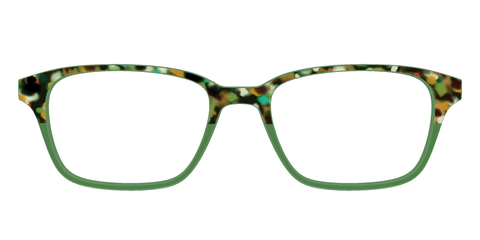 The Forest Tortoise Crystal Split