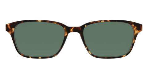 The Non-Polarized Green Tortoise Sun Top