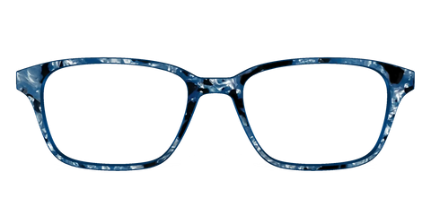 The Midnight Blue Pearl Tortoise