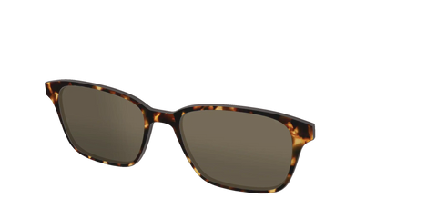 The Non-Polarized Tortoise Sun Top