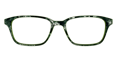 The Olive Pearl Tortoise