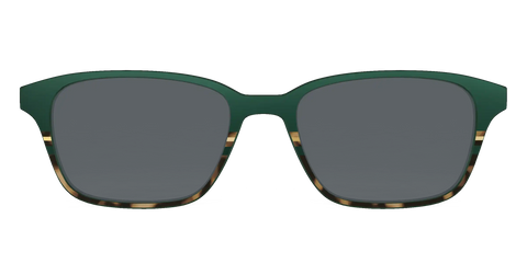 The Polarized Spruce Tortoise Sun Top