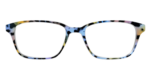 The Positano Tortoise