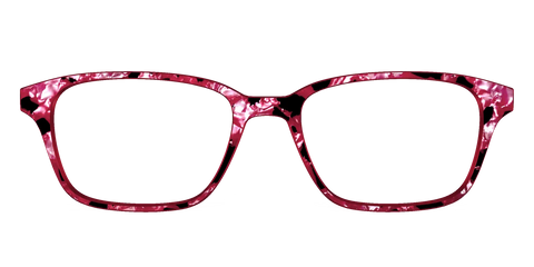 The Raspberry Pearl Tortoise