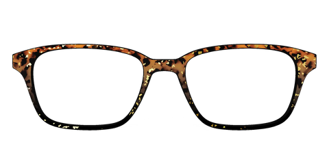 The Rustic Gold Leaf Tortoise