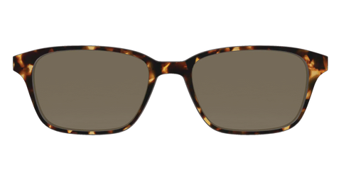 The Polarized Tortoise Sun Top