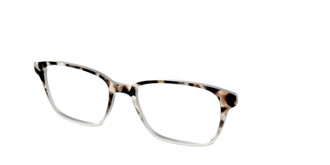 The Vanilla Latte Tortoise