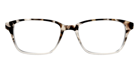 The Vanilla Latte Tortoise