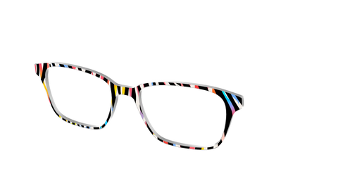 The Vivid Zebra Stripes