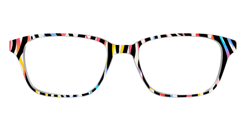 The Vivid Zebra Stripes