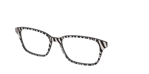 The Zebra Stripes