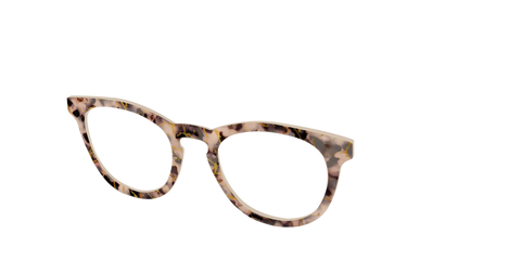 The Almond Tortoise with Gold Streaks