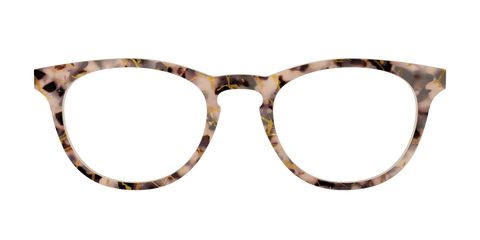 The Almond Tortoise with Gold Streaks