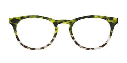 The Avocado to Ivory Tortoise