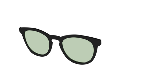 The Black With Sage Green Lens