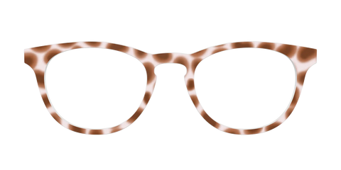 The Caffé Tortoise