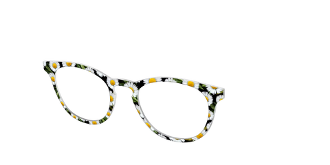 The Delicate Daisies