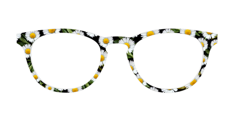The Delicate Daisies
