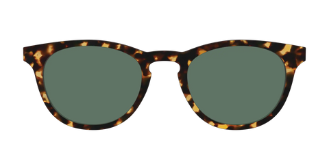 The Non-Polarized Green Tortoise Sun Top