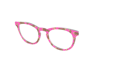 The Hot Pink Cheetahs