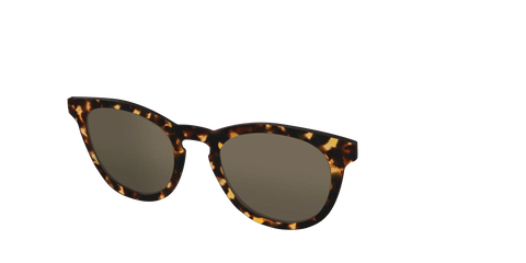The Non-Polarized Tortoise Sun Top