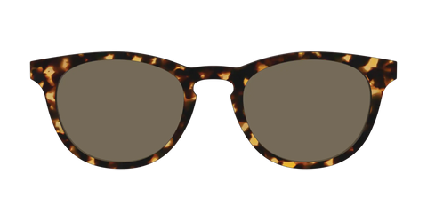 The Non-Polarized Tortoise Sun Top