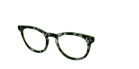 The Olive Pearl Tortoise