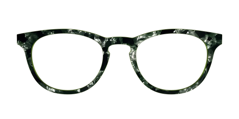 The Olive Pearl Tortoise
