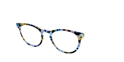 The Positano Tortoise