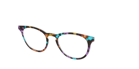 The Summer Tortoise