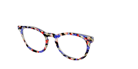 The Tempo Tortoise