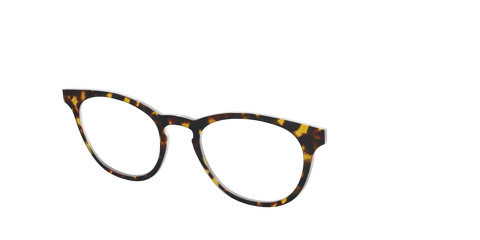 The Tortoise