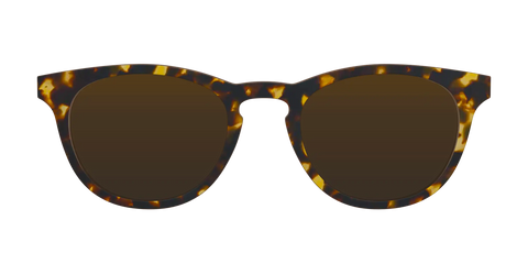 The Polarized Tortoise Sun Top