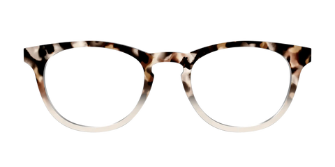 The Vanilla Latte Tortoise