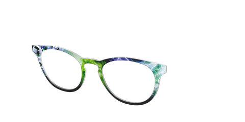 The Wicked Witch of the West
