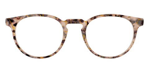 The Almond Tortoise with Gold Streaks