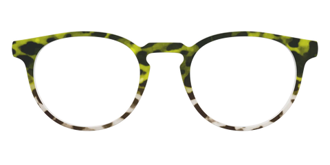 The Avocado to Ivory Tortoise