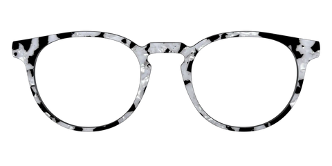 The Black & White Pearl Tortoise