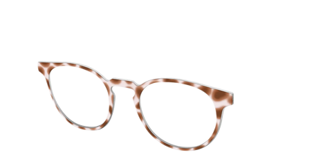 The Caffé Tortoise