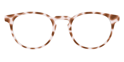 The Caffé Tortoise