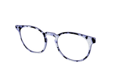 The Lilac Pearl Tortoise