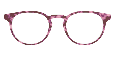 The Maroon Tortoise
