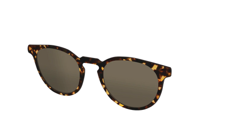 The Non-Polarized Tortoise Sun Top