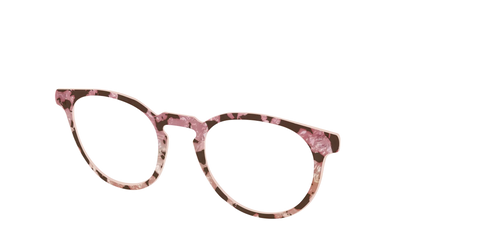 The Pale Peach Pearl Tortoise
