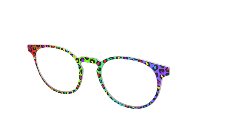 The Rainbow Cheetah
