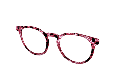 The Raspberry Pearl Tortoise